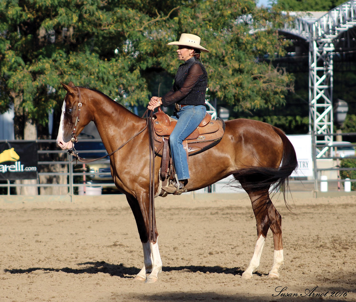 A chestnut in western tack