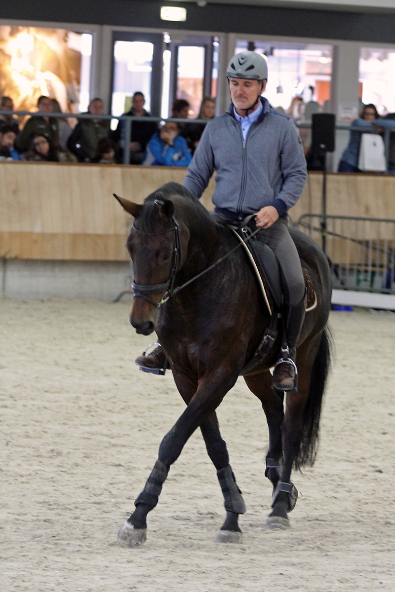 A horse expo in the Netherlands.