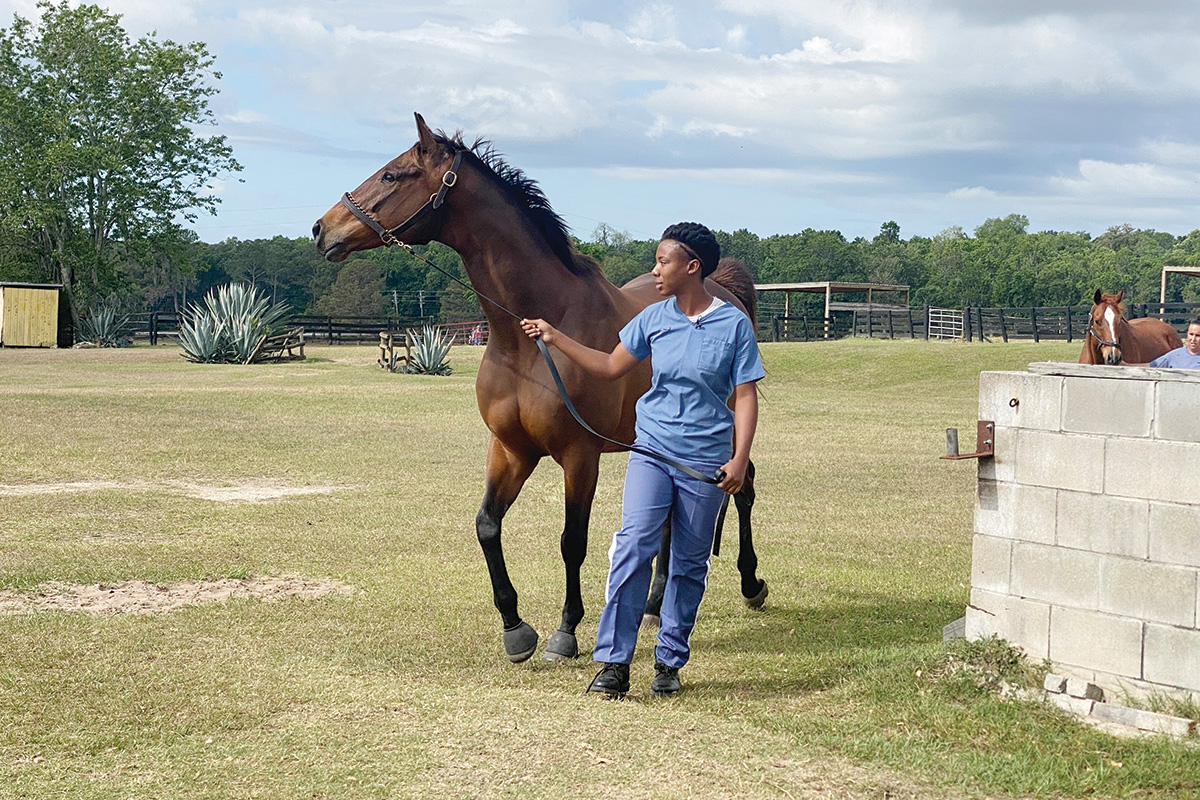 An inmate leads a retired Thoroughbred at the TRF's Second Chances Program