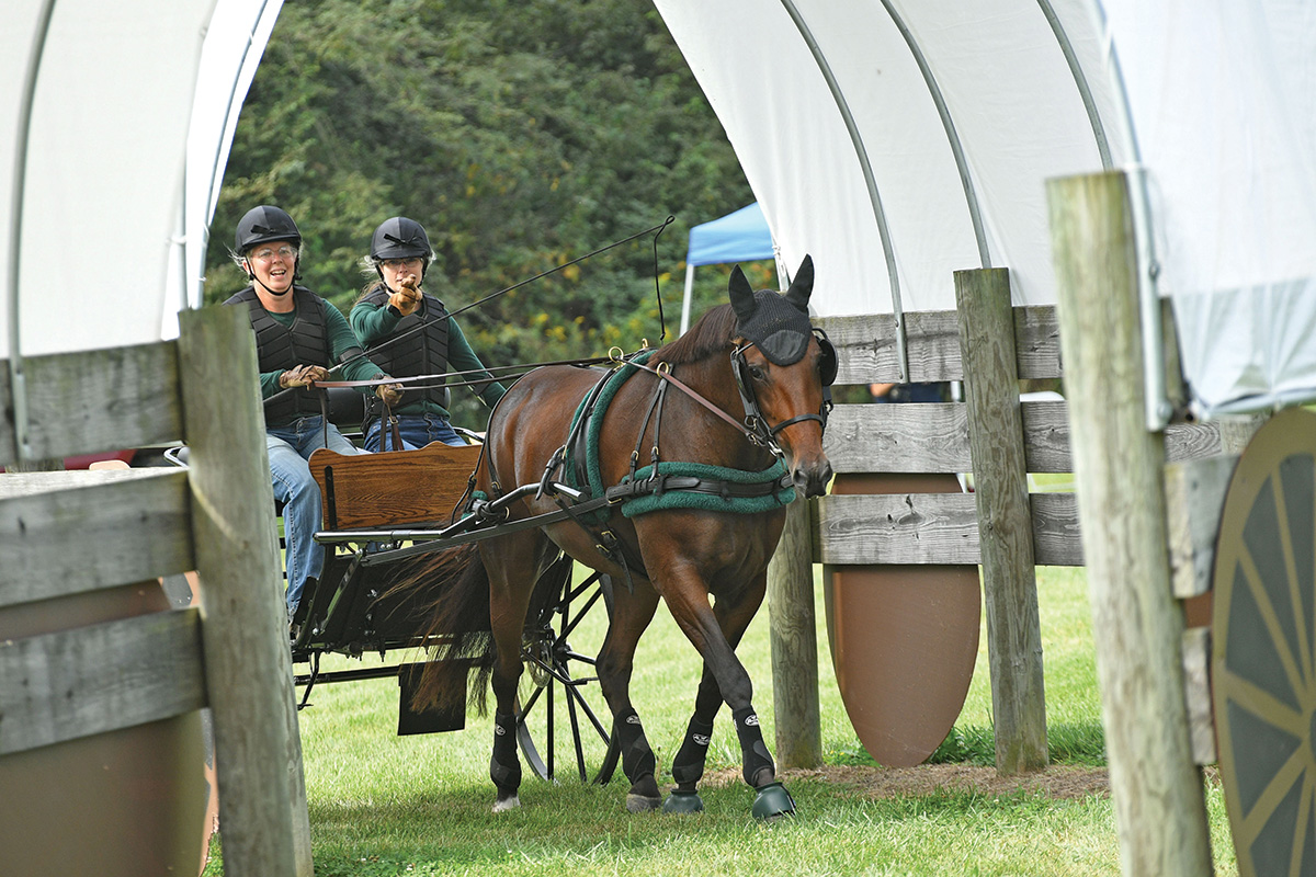 Dunham driving Frankie in the marathon phase of combined driving