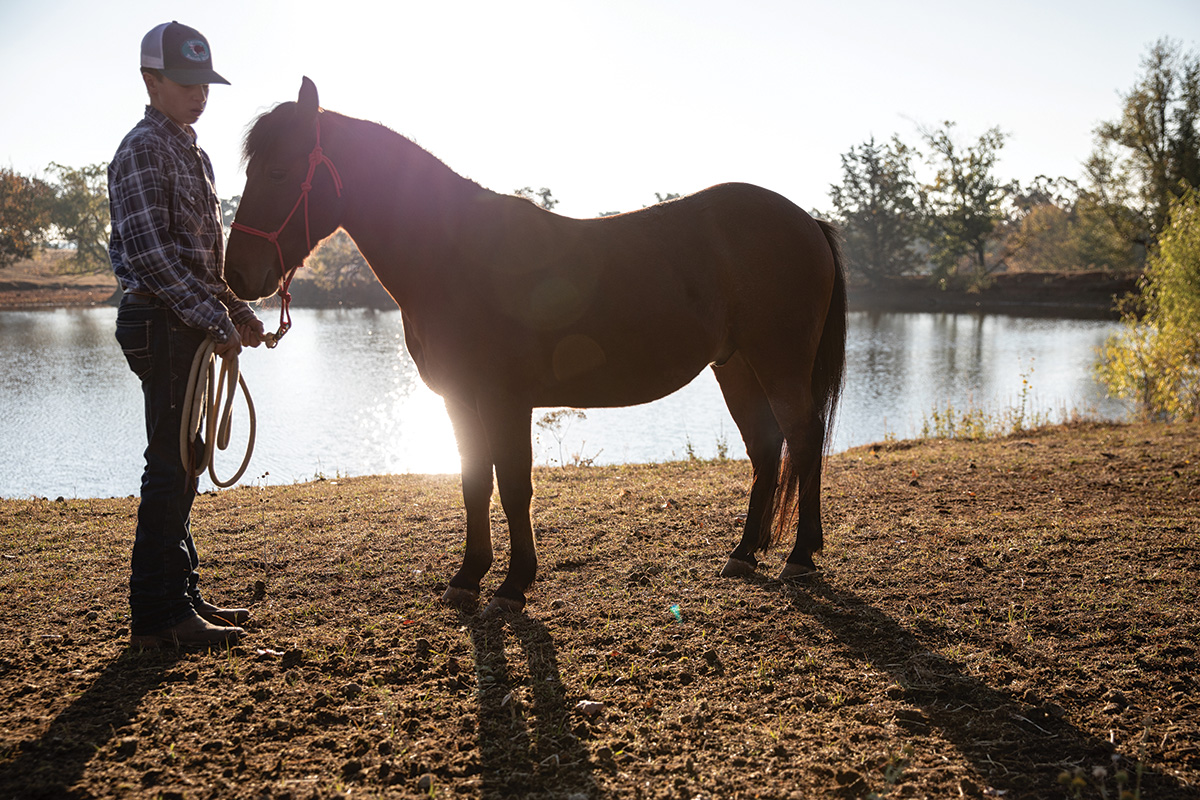 A backlit photo of a boy and pony