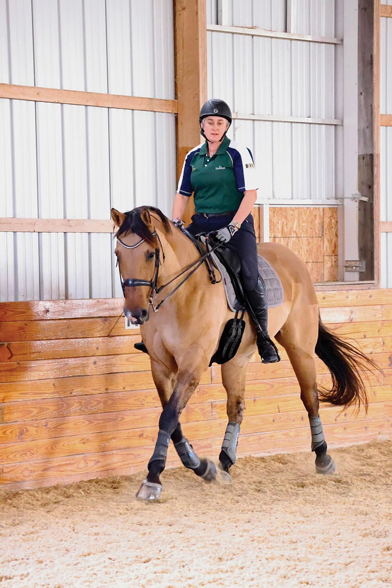 Riding a buckskin in English tack in an indoor arena.