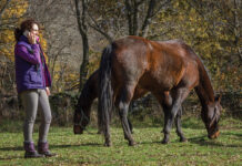 A horse owner wrestles with the difficult decision of selling her horse for financial reasons