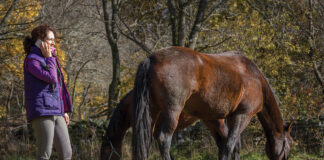 A horse owner wrestles with the difficult decision of selling her horse for financial reasons