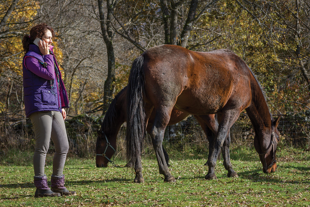 A horse owner wrestles with the difficult decision of selling her horse for financial reasons