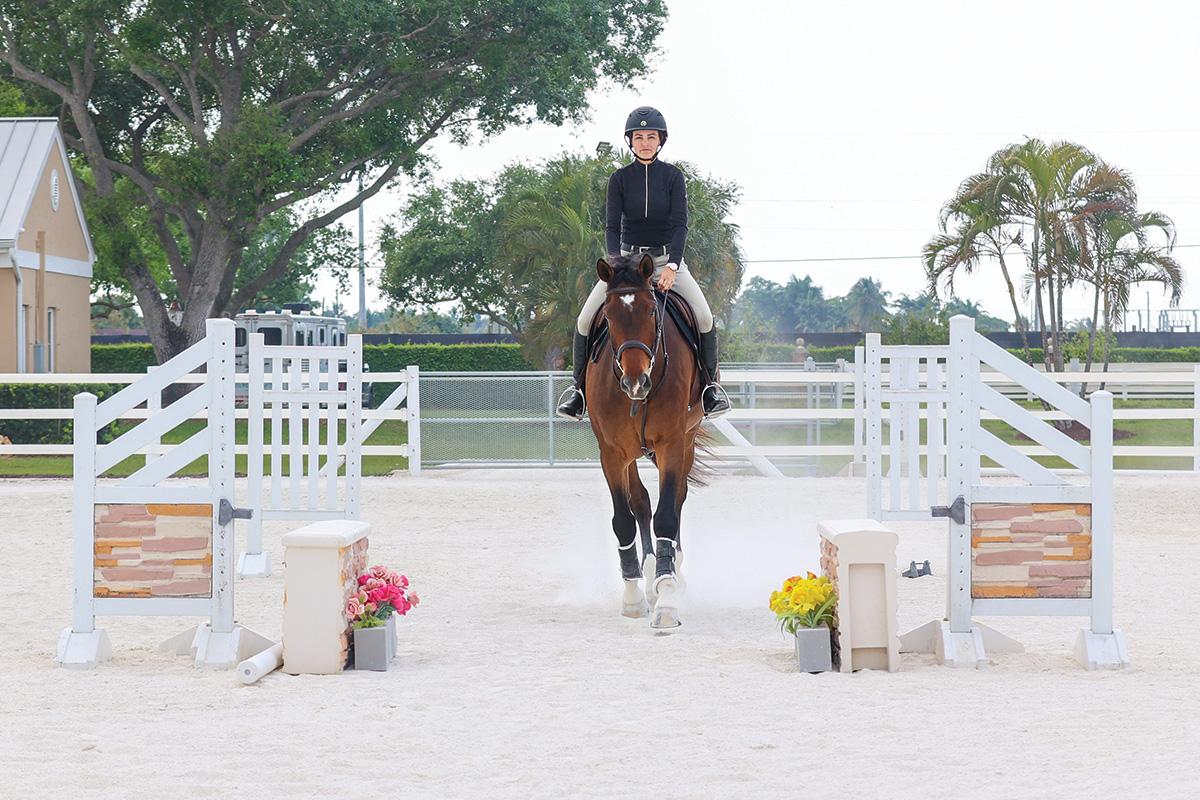 An equestrian trots a bay gelding between standards