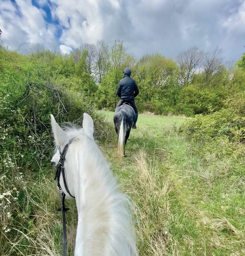 Trail riding POV