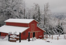 A snow-covered barn.