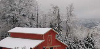 A snow-covered barn.