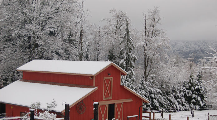 A snow-covered barn.