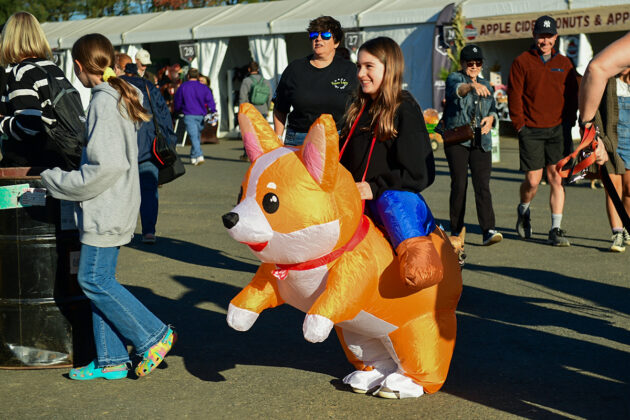 A girl wearing a corgi costume