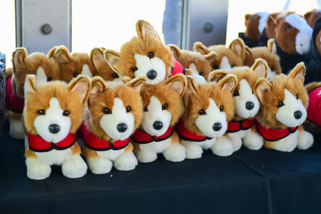 Stuffed Corgi toys