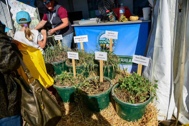 A display of common forage plants at the Maryland Department of Agriculture booth