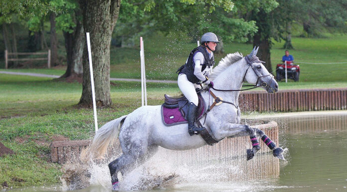 A gray American Warmblood competing in cross-country