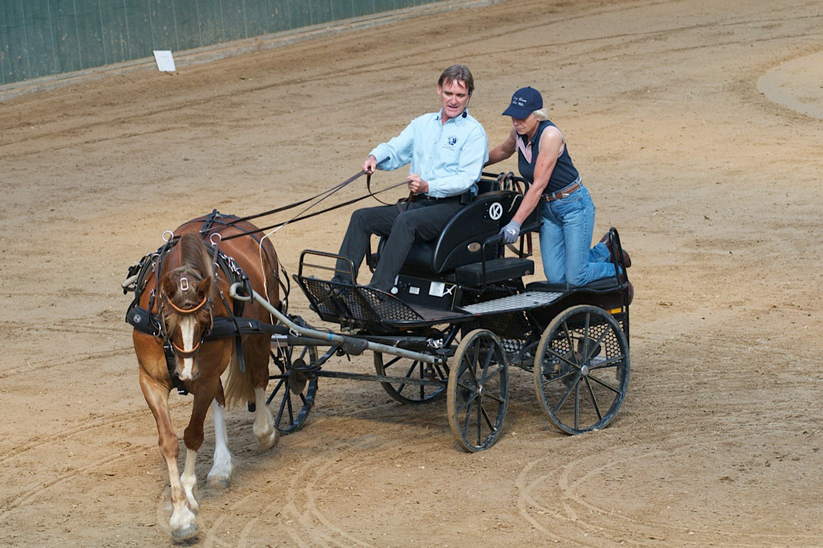 Chris Irwin demonstrates how to redefine contact when driving to help a gelding relax at an expo in Brusssels, Belgium.