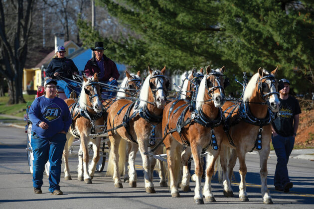 A six-horse Haflinger hitch pulling a show wagon in the Lebanon Horse-Drawn Parade and Christmas Festival.