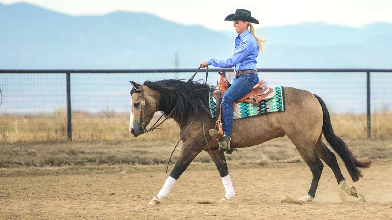 Guide to a Smooth Reining Rundown - Horse Illustrated