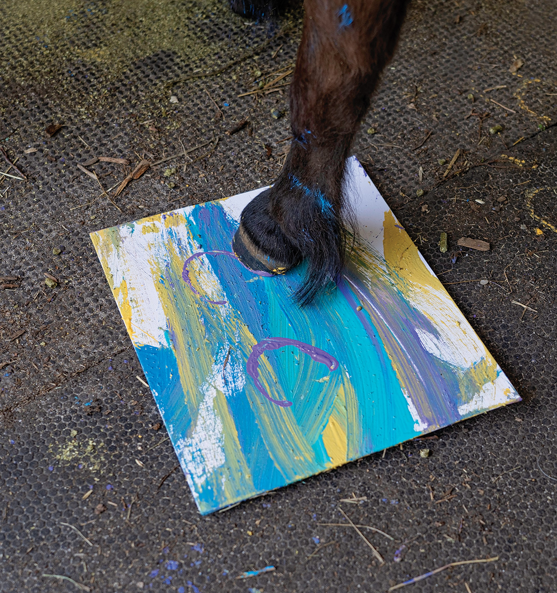 The stamp of a pony's hoofprint on his art