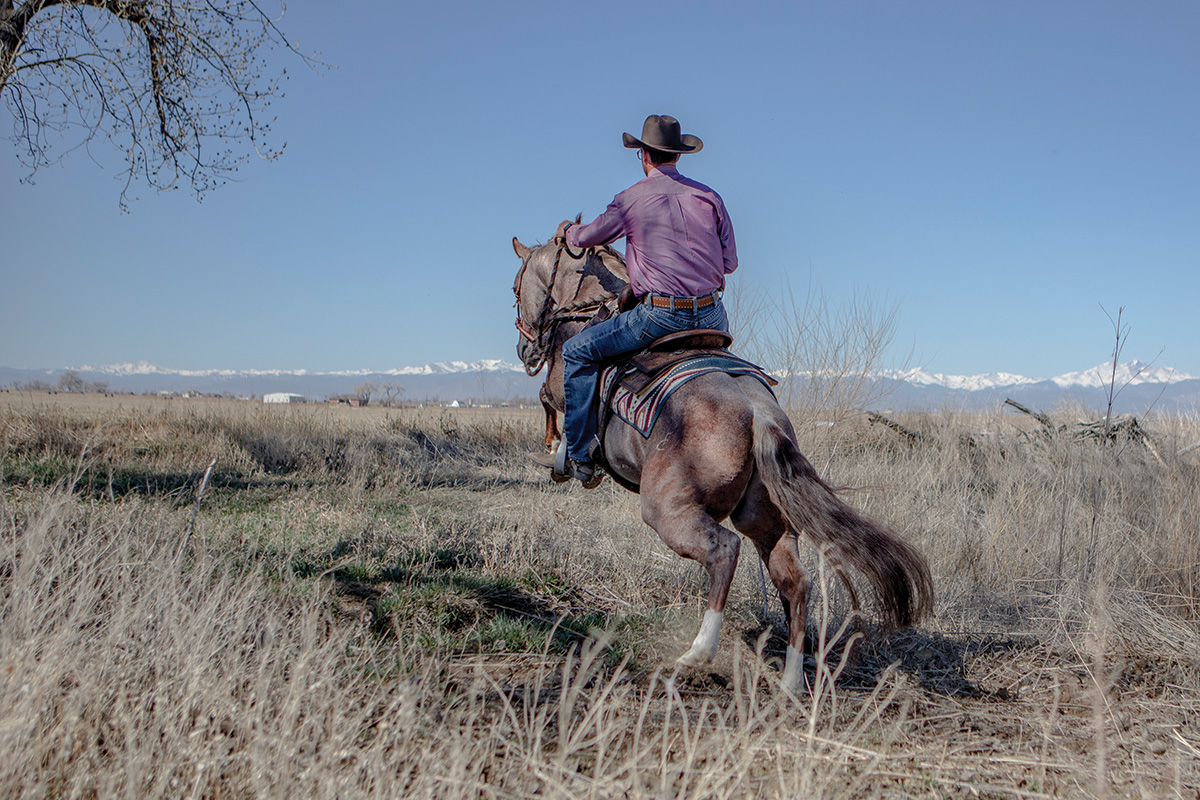 A horse jumping while crossing a ditch