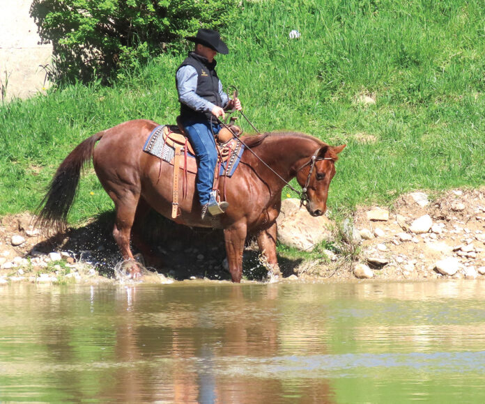 Western Training: Crossing Water - Horse Illustrated