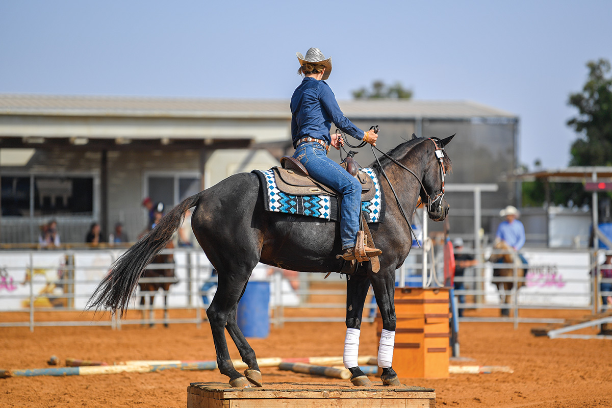 An equestrian competing at a horse show, which takes plenty of goal setting to get to.