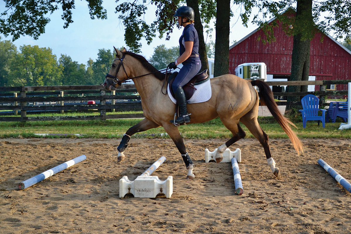 Trotting a horse over ground poles as a training device.