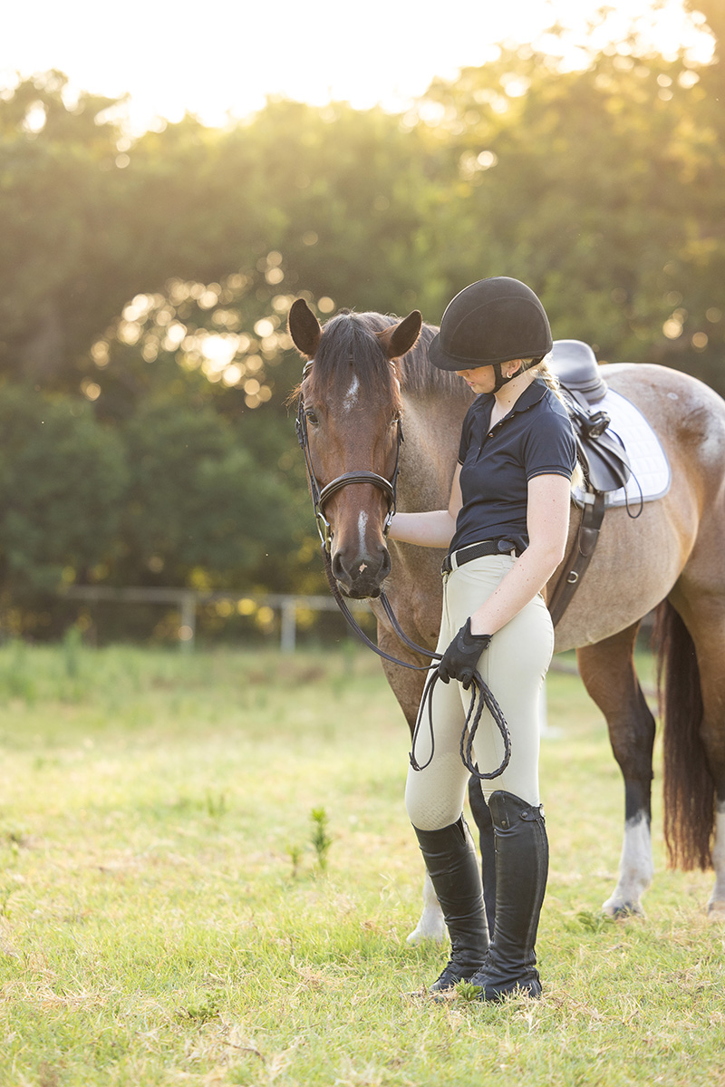 A young rider interacts with a roan gelding.