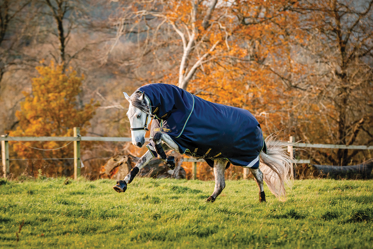 A horse in a blanket playing in a field.