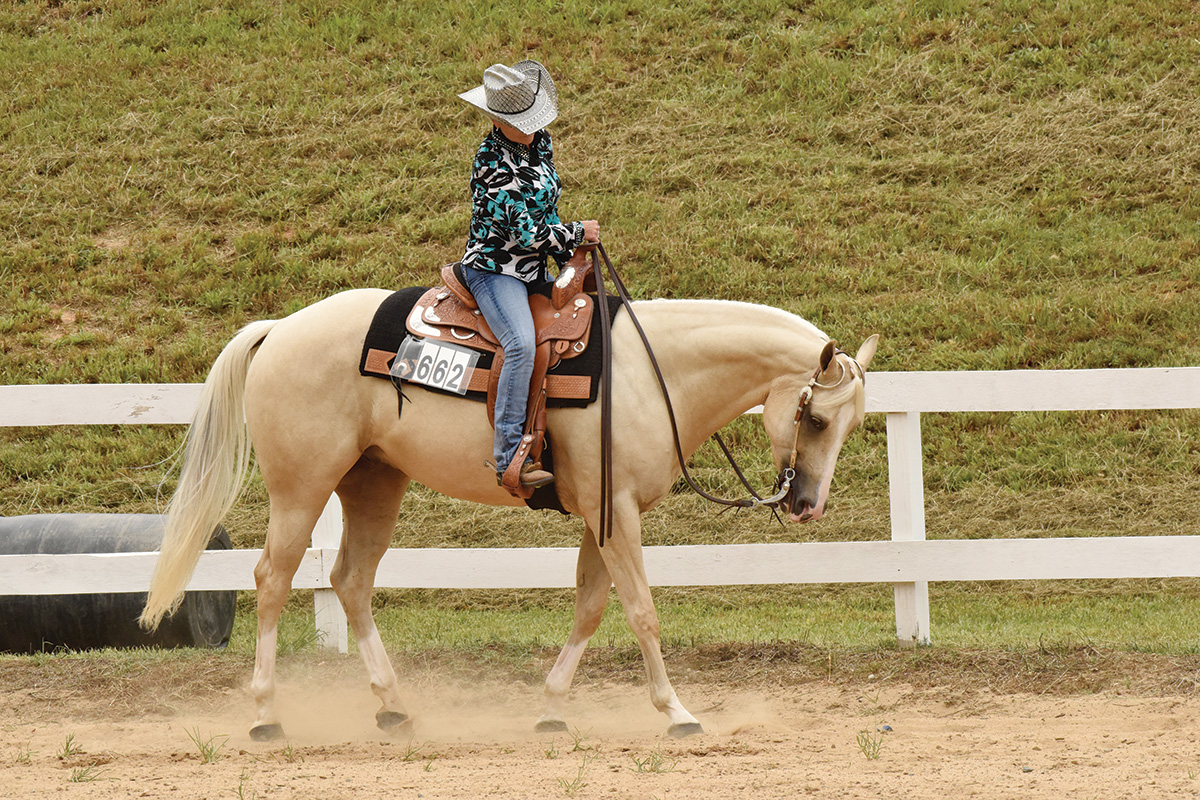 A western pleasure class