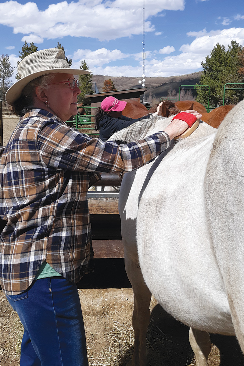A Body, Mind, Equine retreat participant practicing mindful grooming with a horse