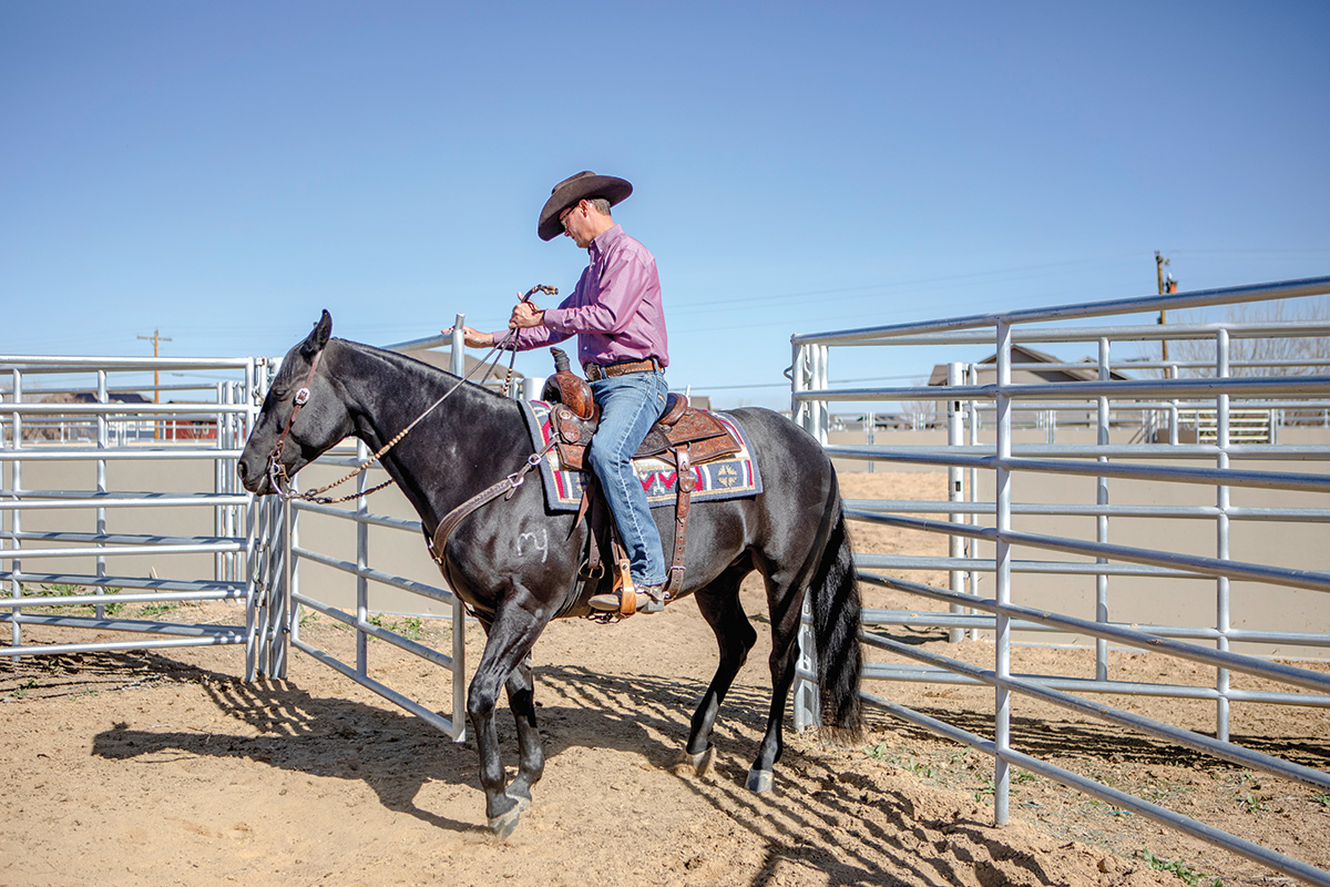 A trainer maneuvers a horse through a ranch gate