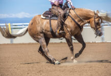 A palomino horse performs a reining spin with a mountain backdrop