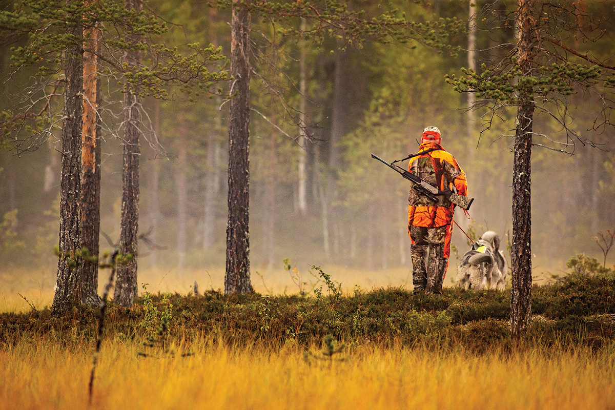 A hunter in the woods