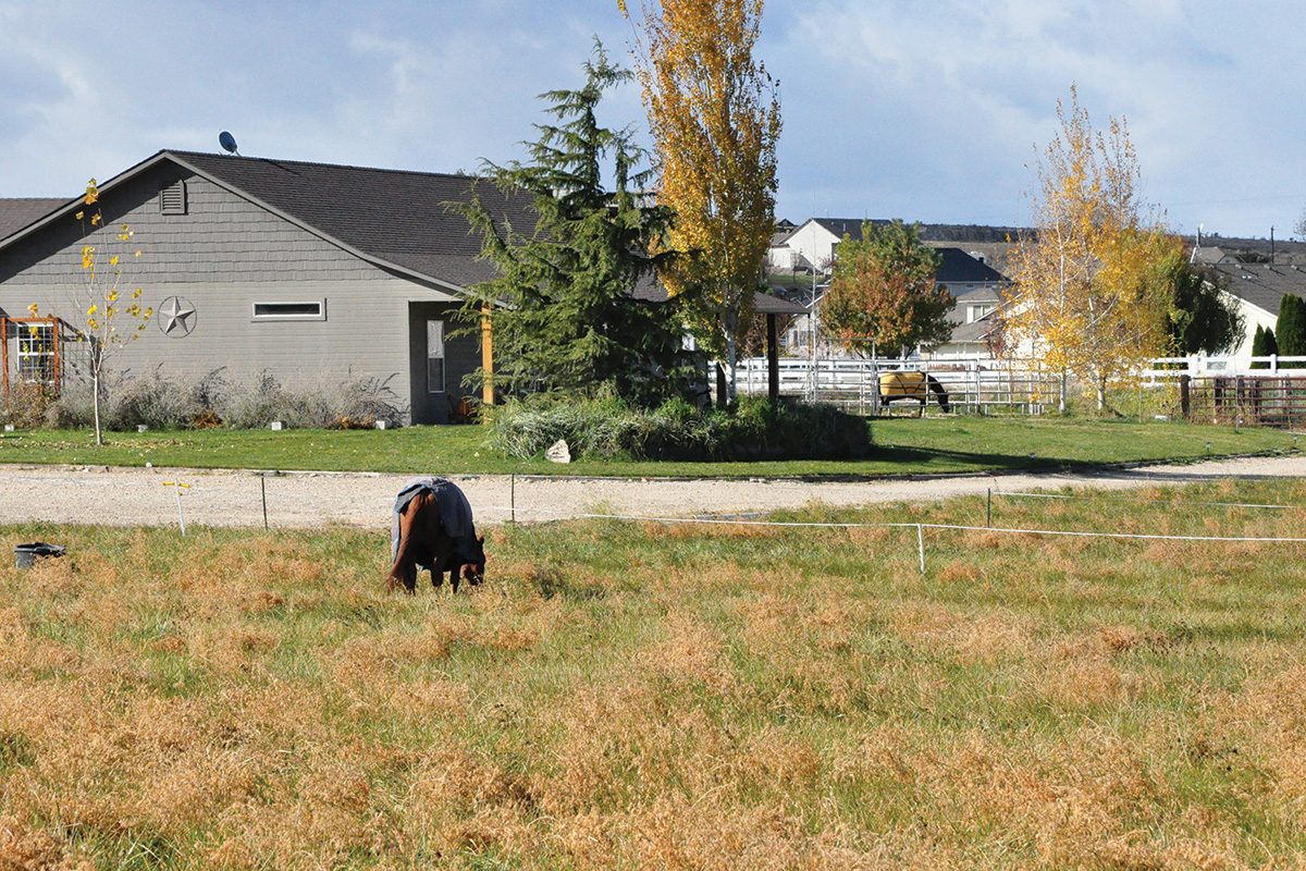 A field in Washington.