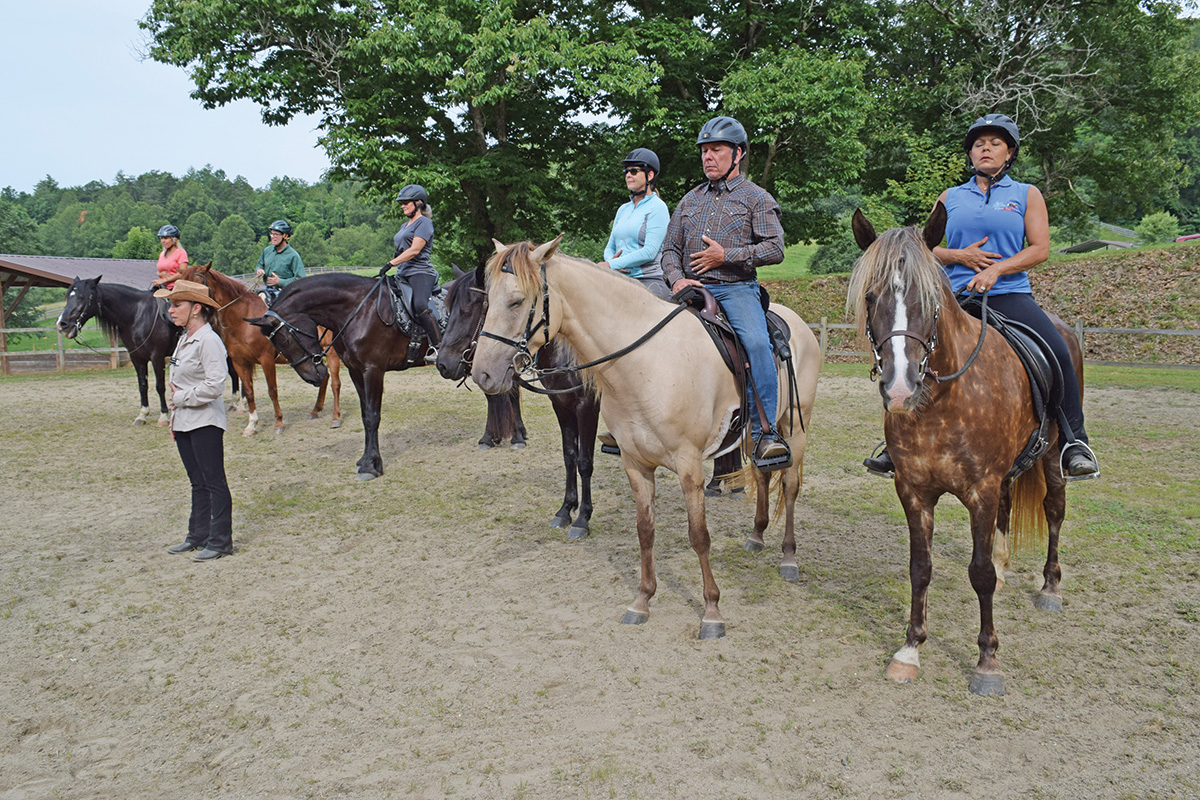 A group of equestrians