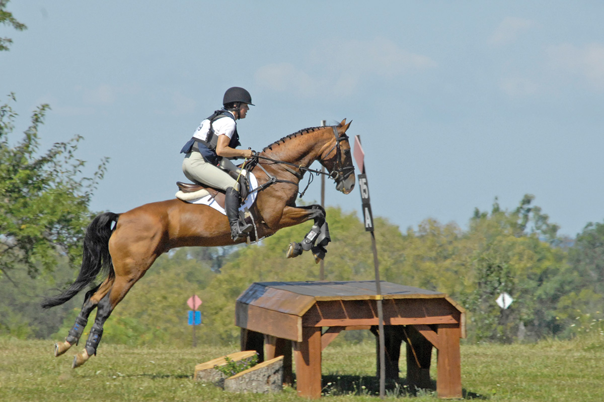 A horse jumping cross-country