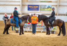 A win photo at a horse show