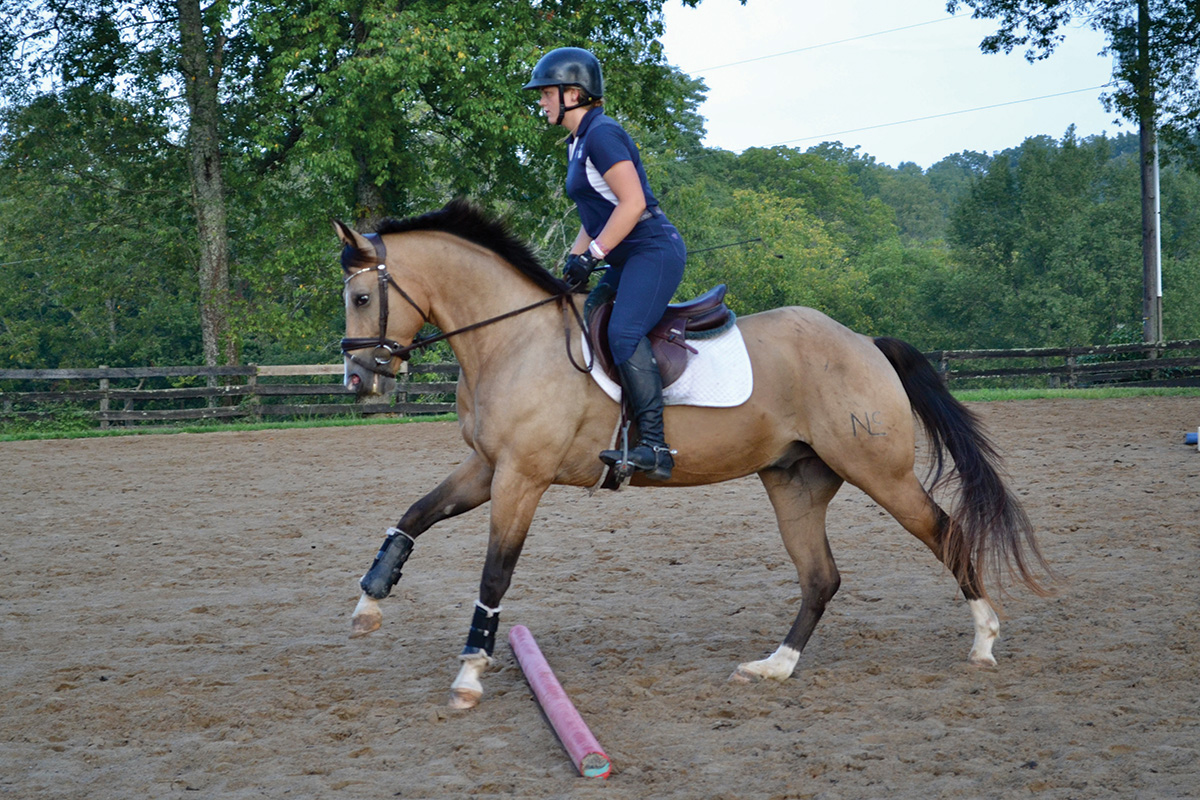 Cantering a horse over ground poles as a training device.