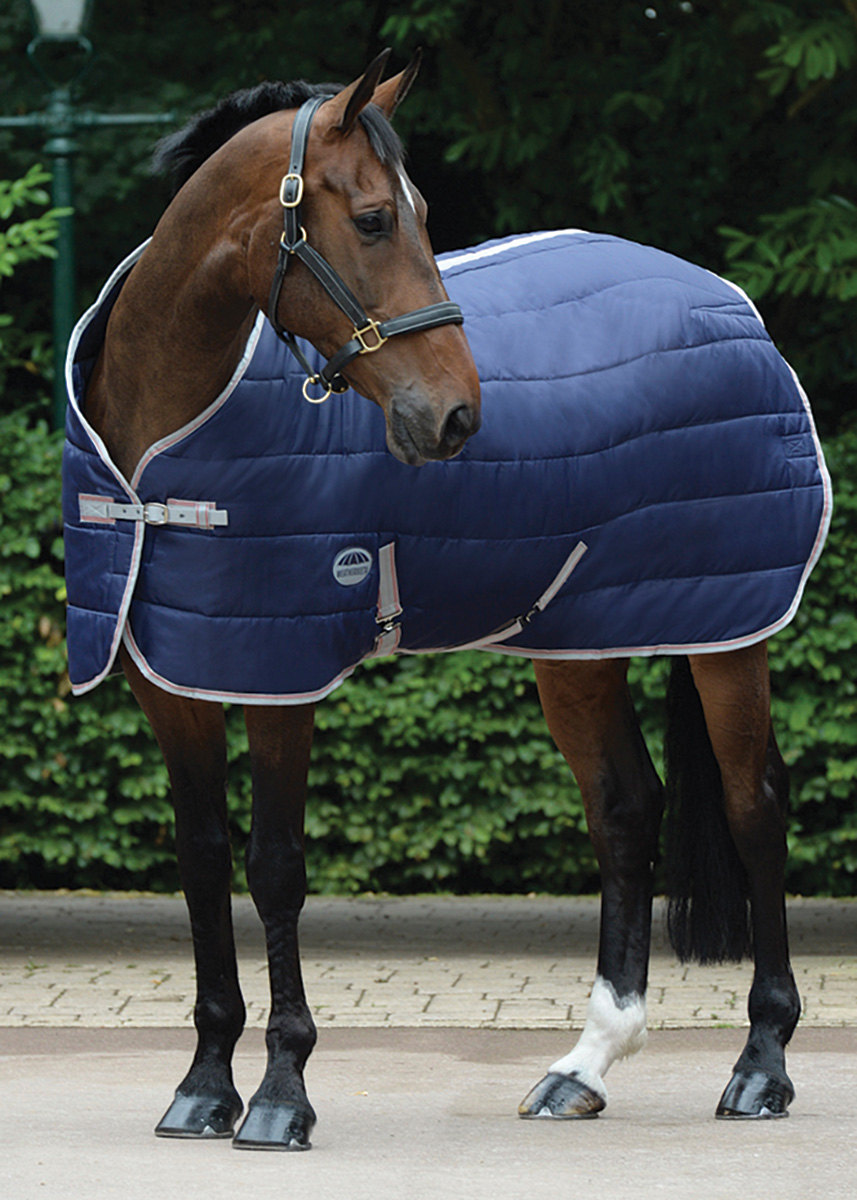 A horse wearing a stable blanket. Blanketing with these type of blankets is only for indoor use.