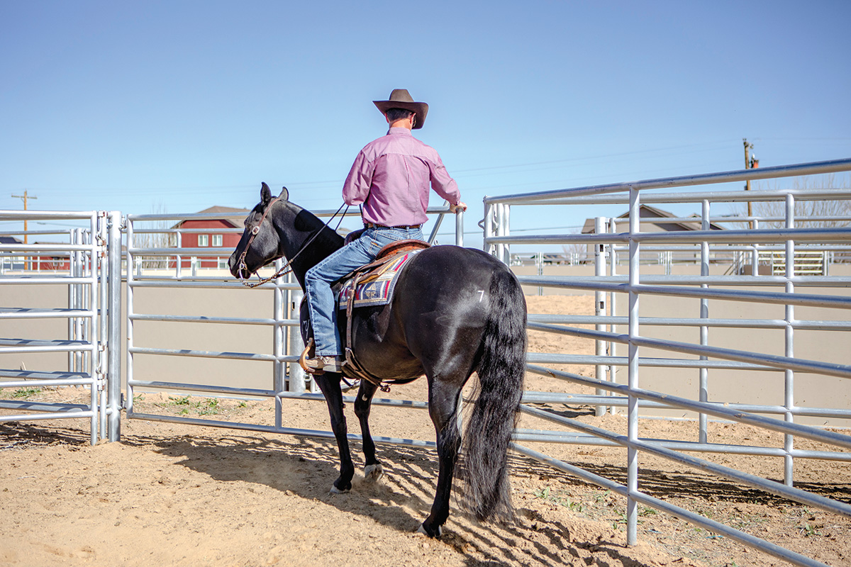 A trainer sidepasses his mount towards the fence