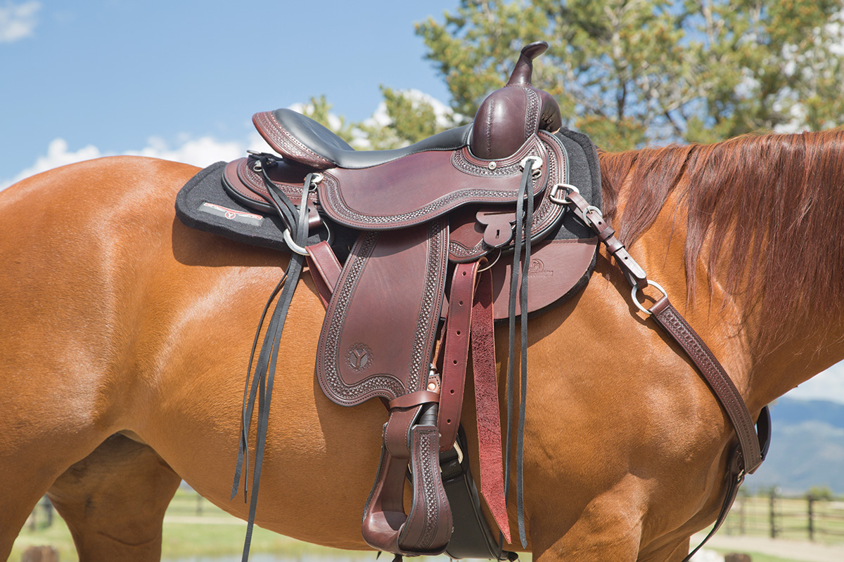 A horse wearing a Western saddle with a proper fit