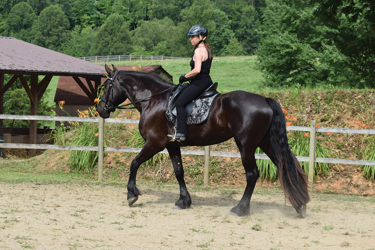 An equestrian riding a black horse