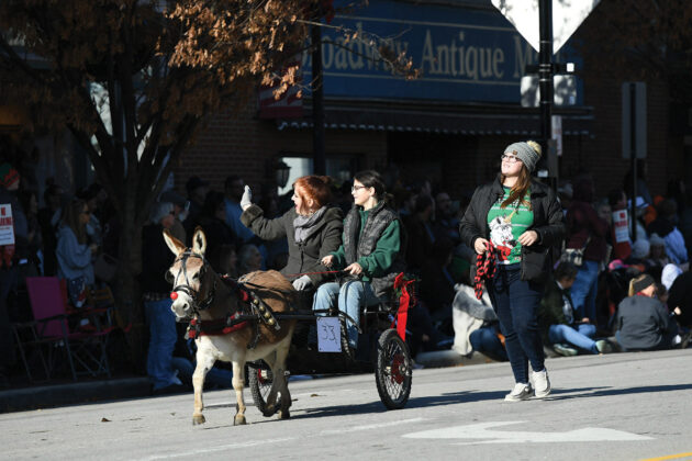 A mini donkey wearing a Rudolph nose during the Lebanon Horse-Drawn Carriage Parade and Christmas Festival.