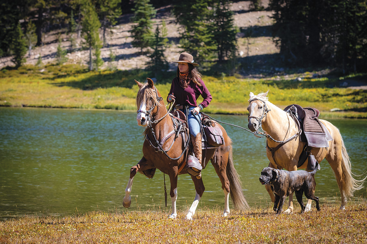 Peruvian Horses and a dog on a trail ride alongside a mountain lake