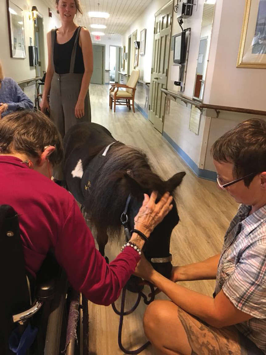 The miniature on one of his therapy visits