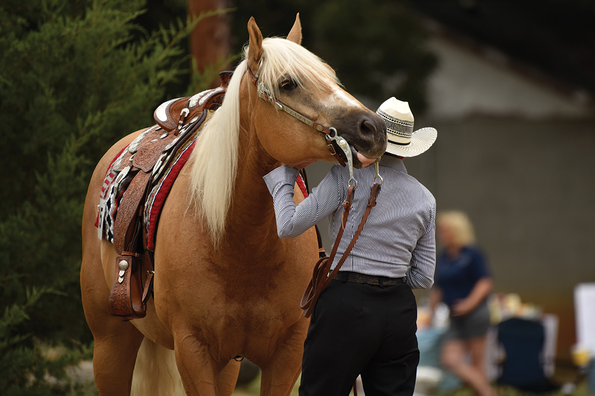 A horse hugging its human.