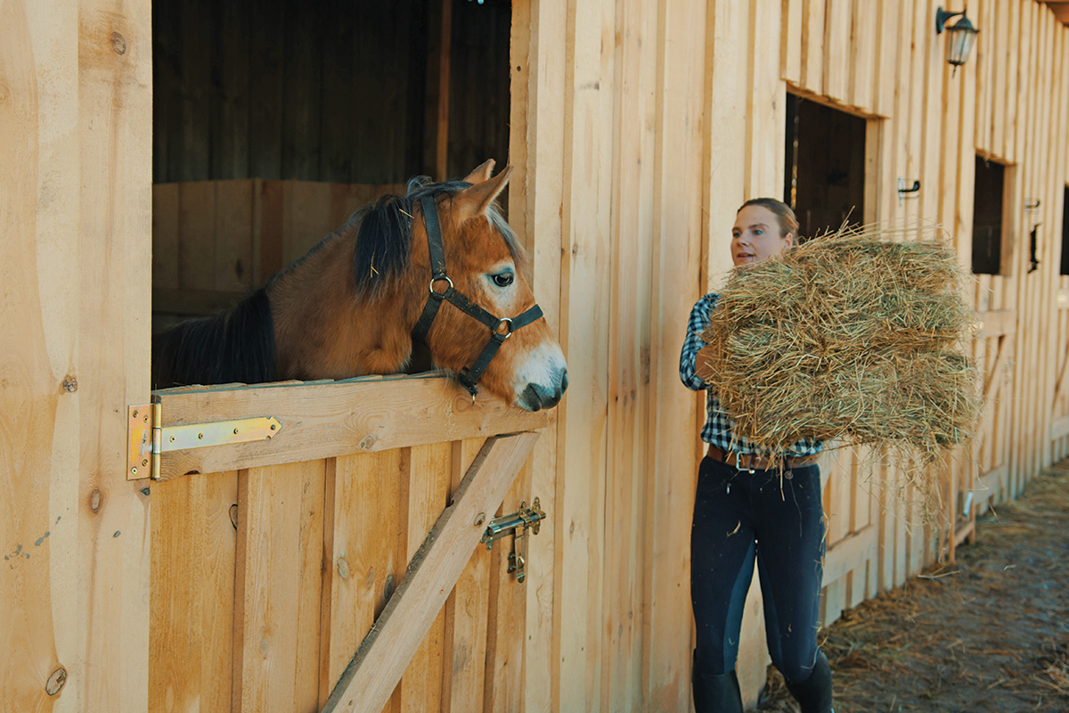 An equestrian feeding a horse that she keeps at home