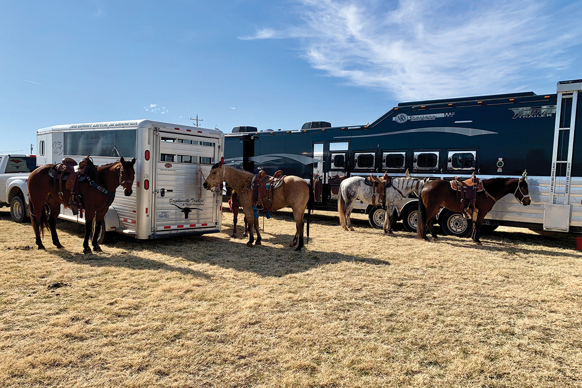 Equine rodeo athletes tied to trailers