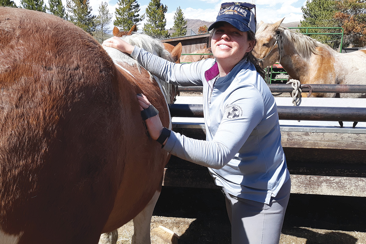 A Body, Mind, Equine retreat participant practicing mindful grooming with a horse