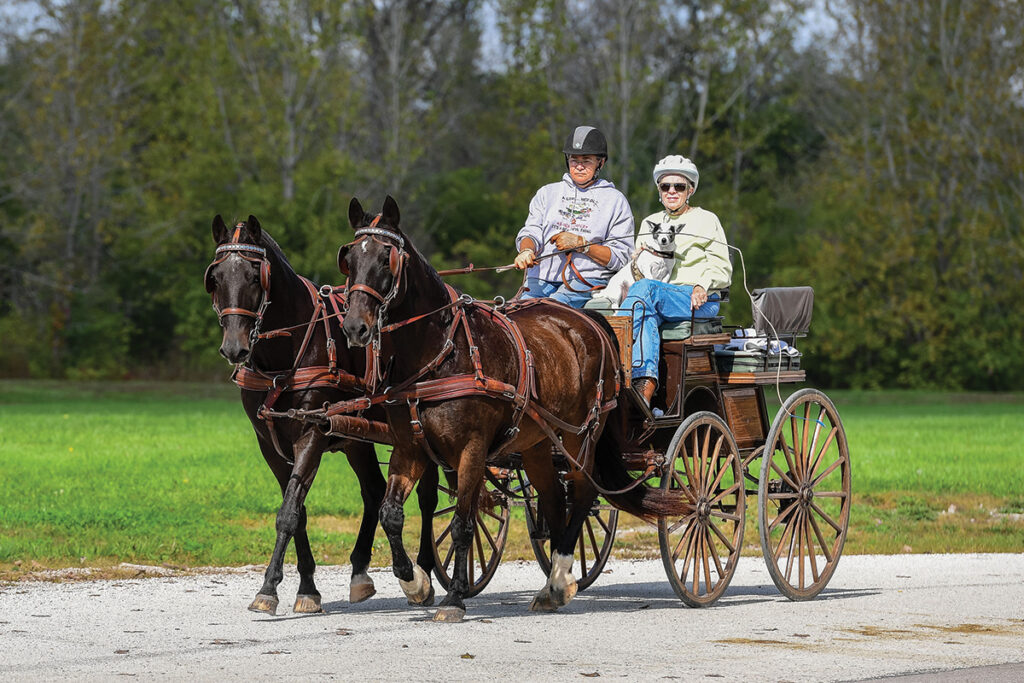 The National Drive: A Gathering for Horse Driving - Horse Illustrated